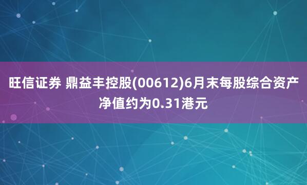 旺信证券 鼎益丰控股(00612)6月末每股综合资产净值约为0.31港元
