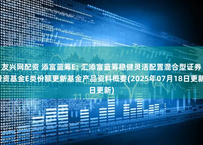 友兴网配资 添富蓝筹E: 汇添富蓝筹稳健灵活配置混合型证券投资基金E类份额更新基金产品资料概要(2025年07月18日更新)