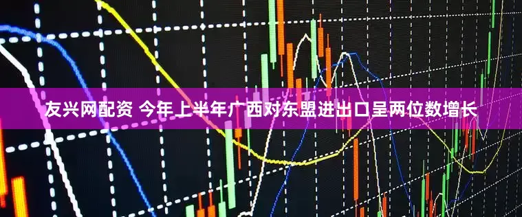 友兴网配资 今年上半年广西对东盟进出口呈两位数增长