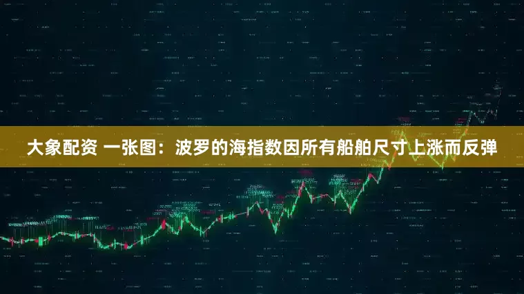 大象配资 一张图：波罗的海指数因所有船舶尺寸上涨而反弹